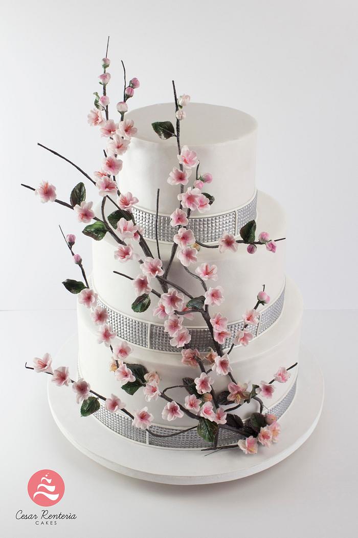 Cake cherry blossom
