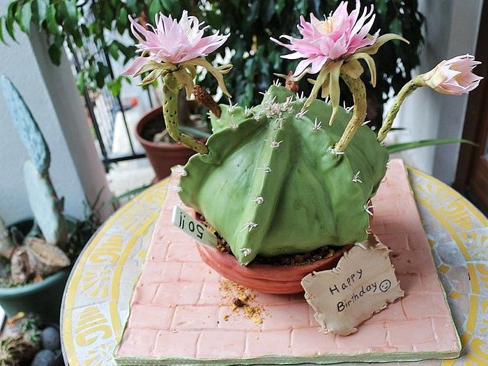 Cactus cake 