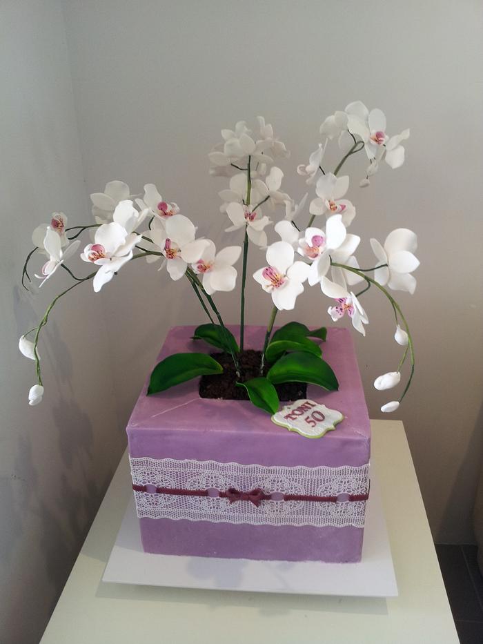 Orchid pod cake with lace ...