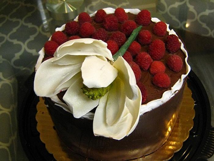 Chocolate wrapped birthday cake 