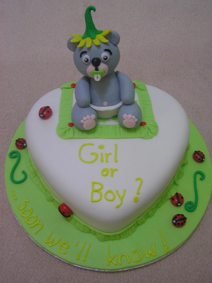 Girl or Boy? Baby Shower Cake