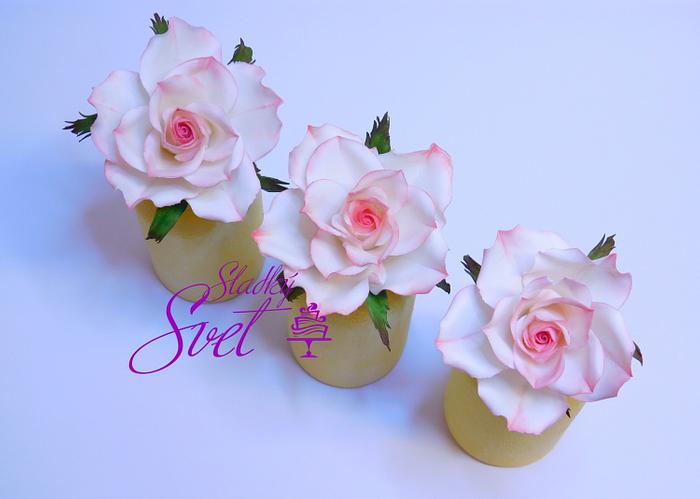 Sugar roses