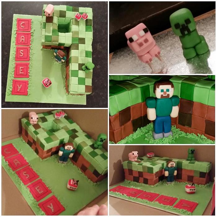 Minecraft 9th Birthday