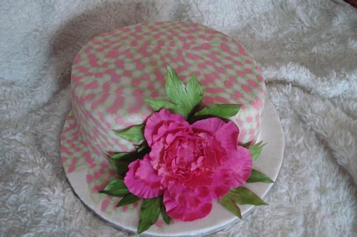 Peony rose and cake a la Geraldine
