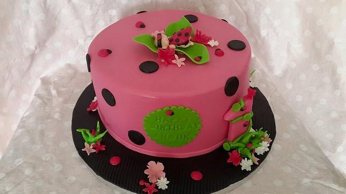 Ladybird Cake for a girl