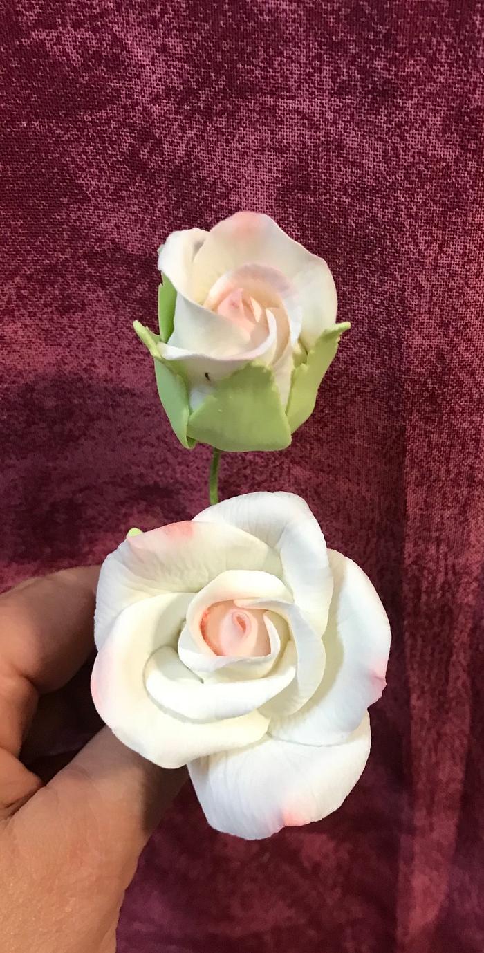 Rosas en pasta de goma 