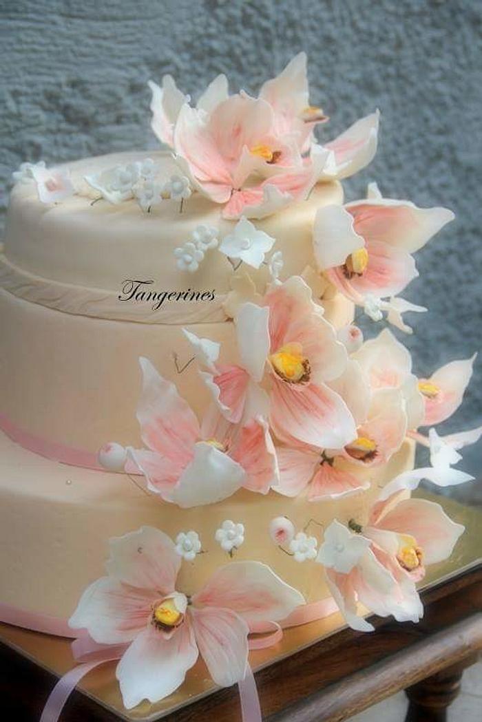 Peach, white and pink themed wedding cake