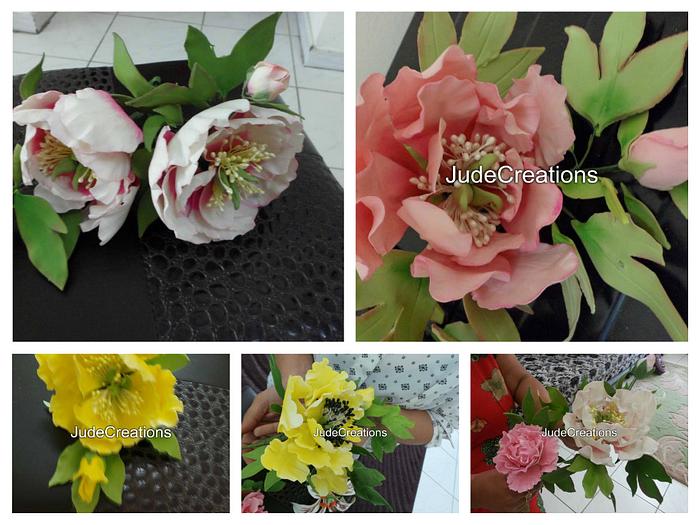 collage of Peonies