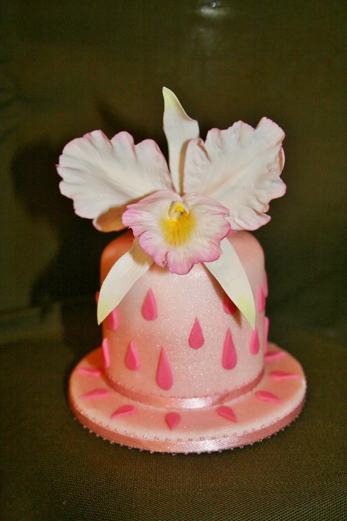 Mini cake and orchid