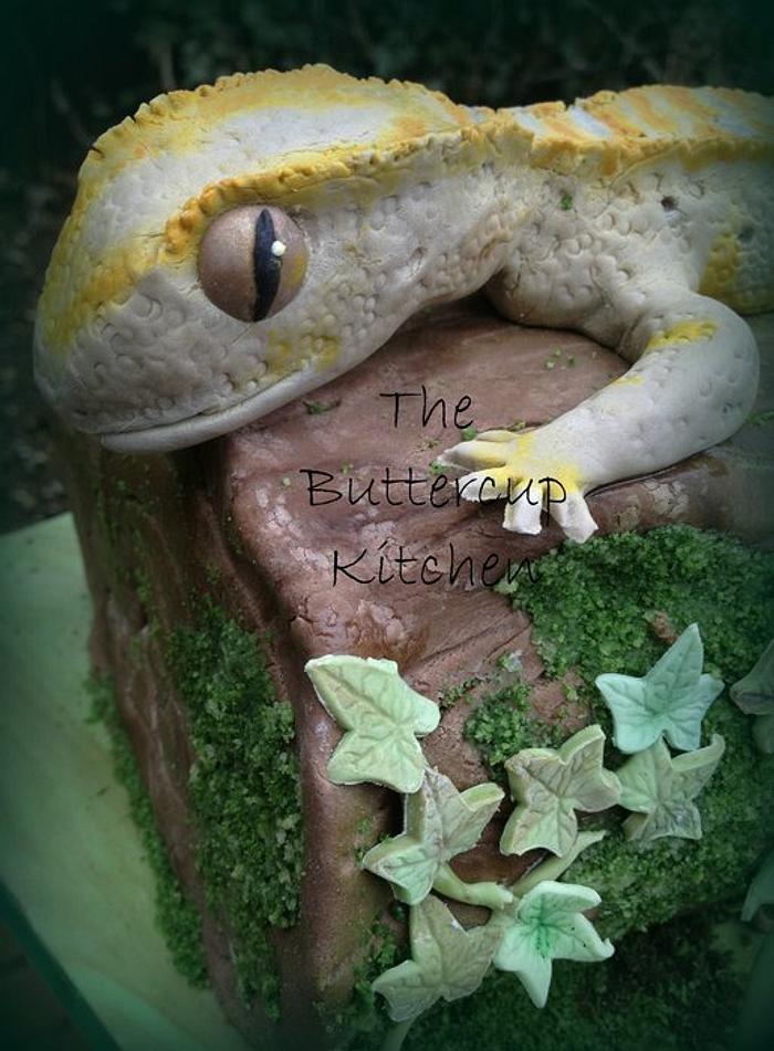 Bertie the Gecko