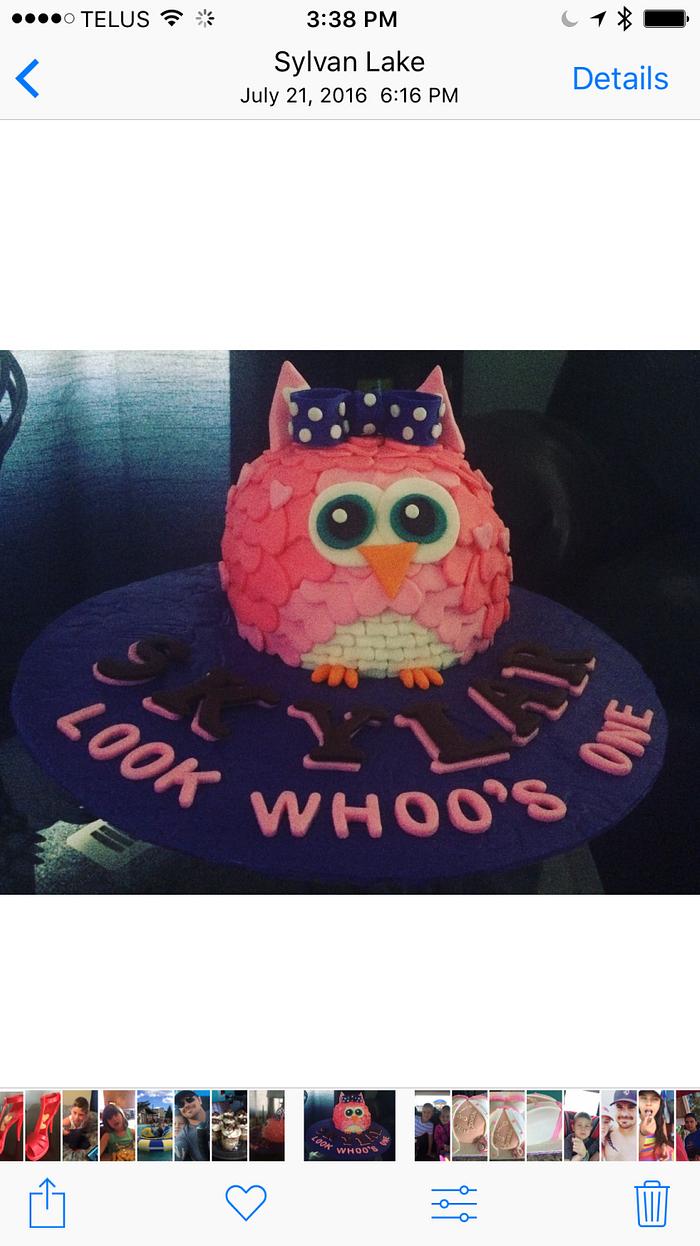 Owl Cake, Look Whoo's One