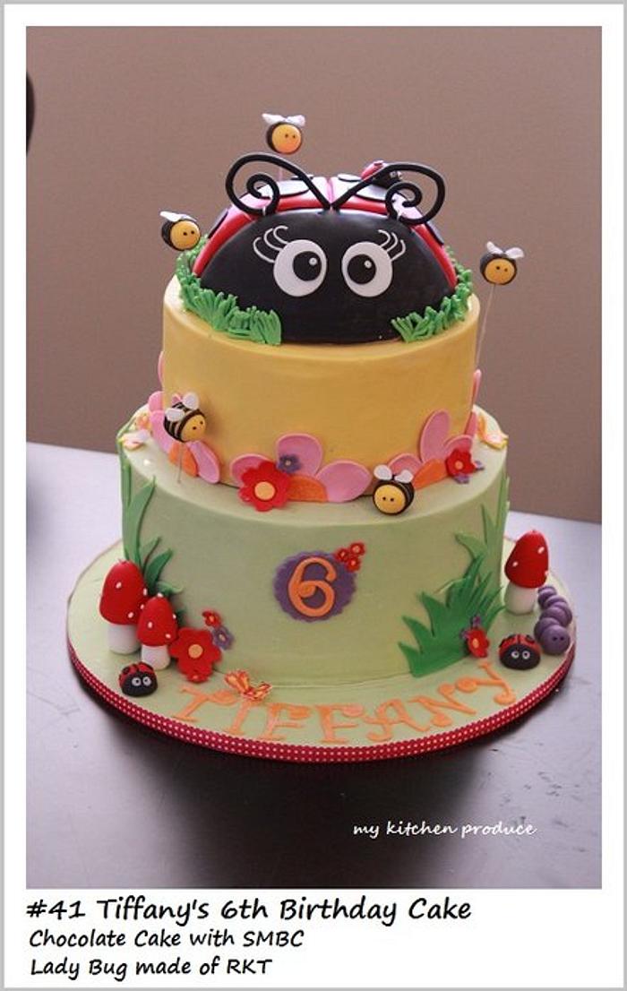 Lady Bug Theme Cake