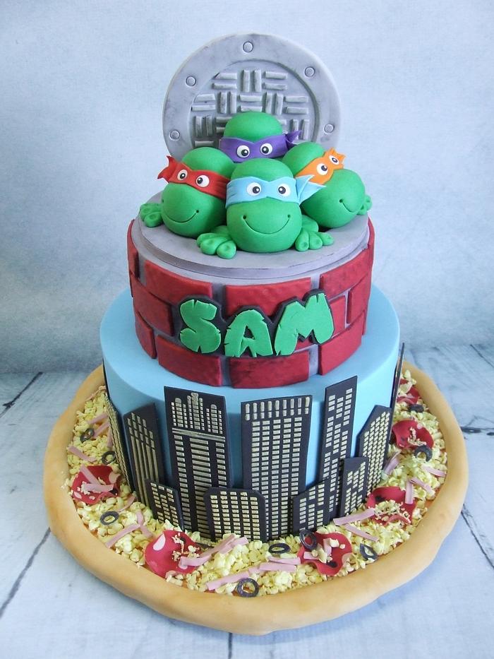 Sam's Ninja Turtle Cake!