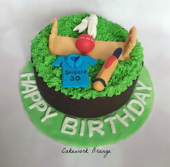 Cricket theme cake 