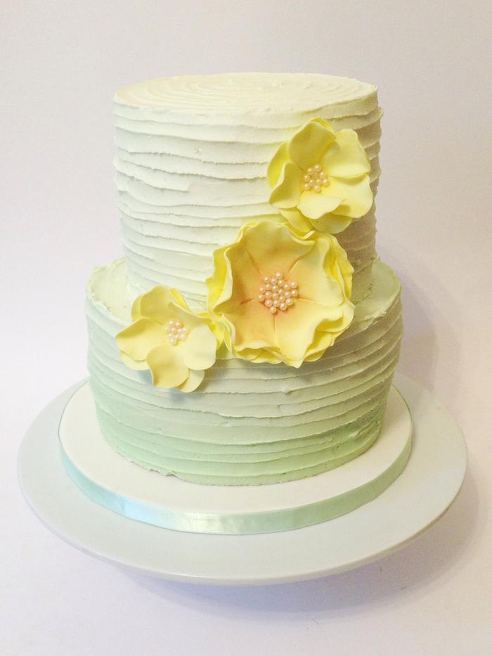 Pale green Ombre cake 
