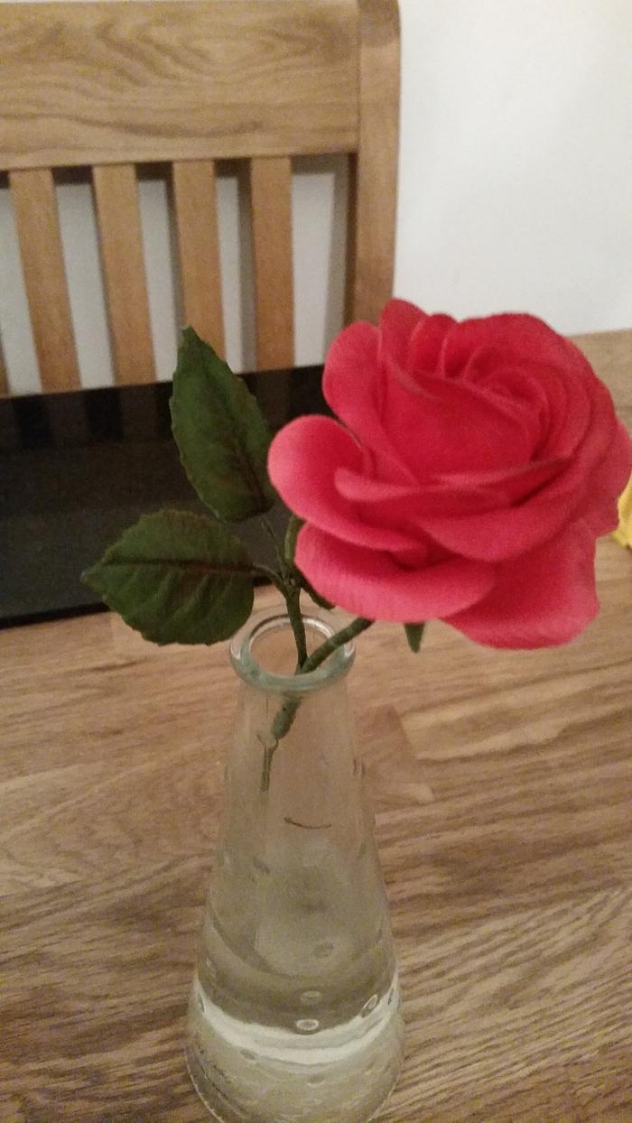 My best rose yet x