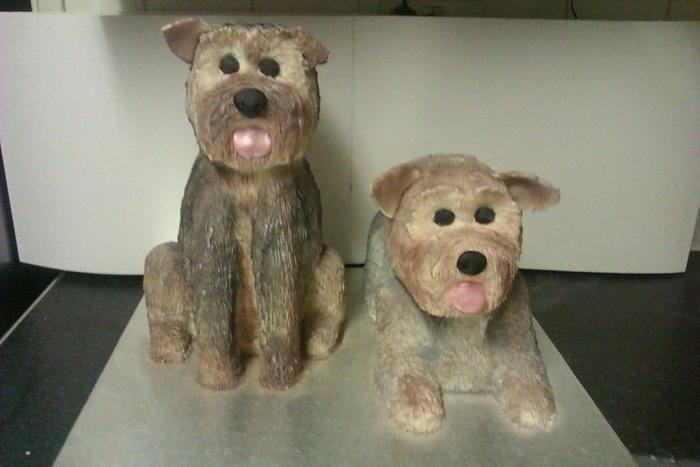 Two Yorkshire terrier cakes
