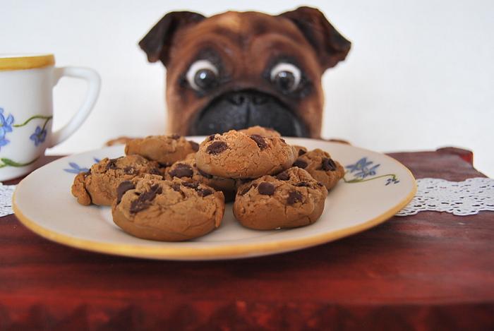 "Gimme dat cookies!"