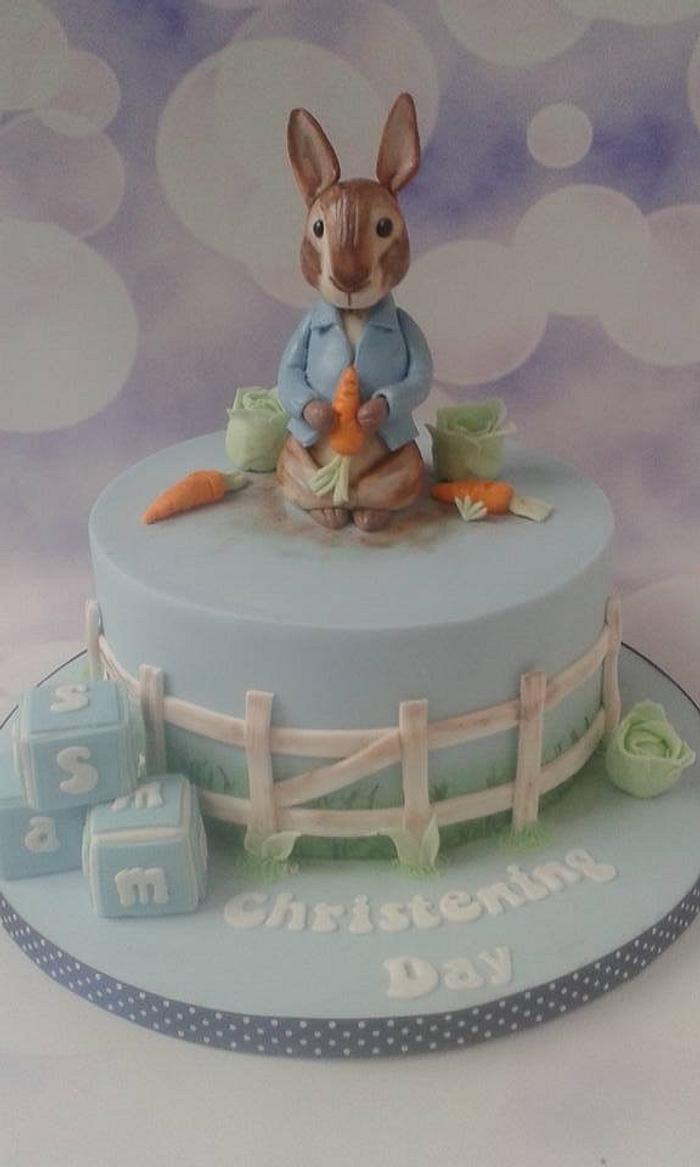 Peter Rabbit Christening cake
