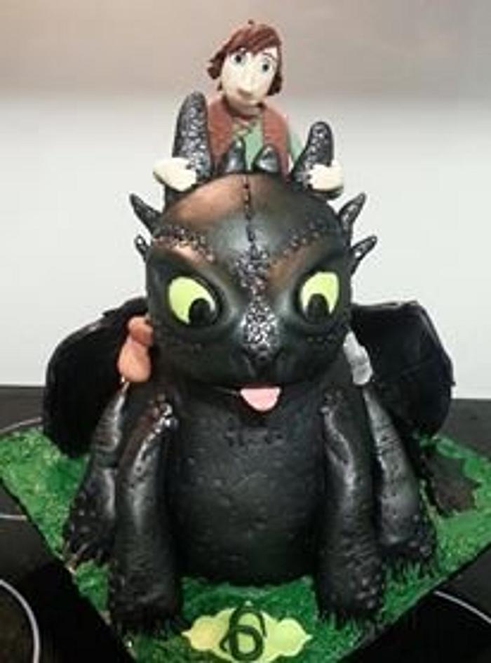 Hiccup and Toothless for my boys 6th