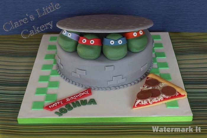 Teenage mutant ninja turtle cake