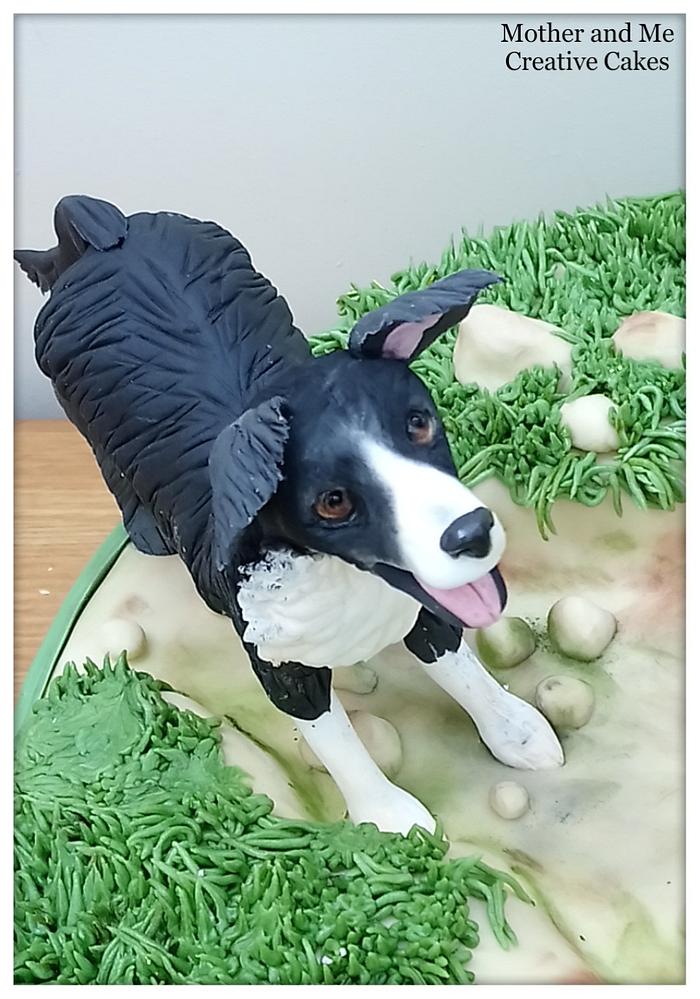 Dog Walking Cake