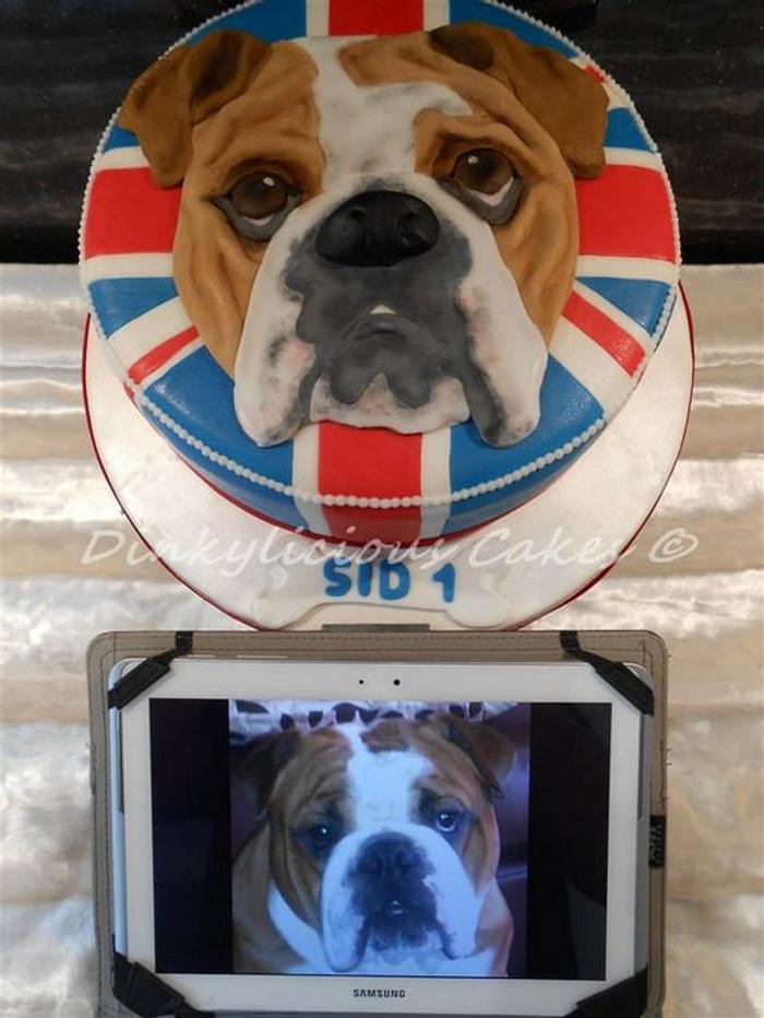 bulldog "Sid" cake