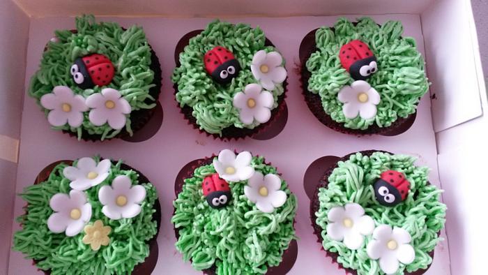 Lady bug cupcakes