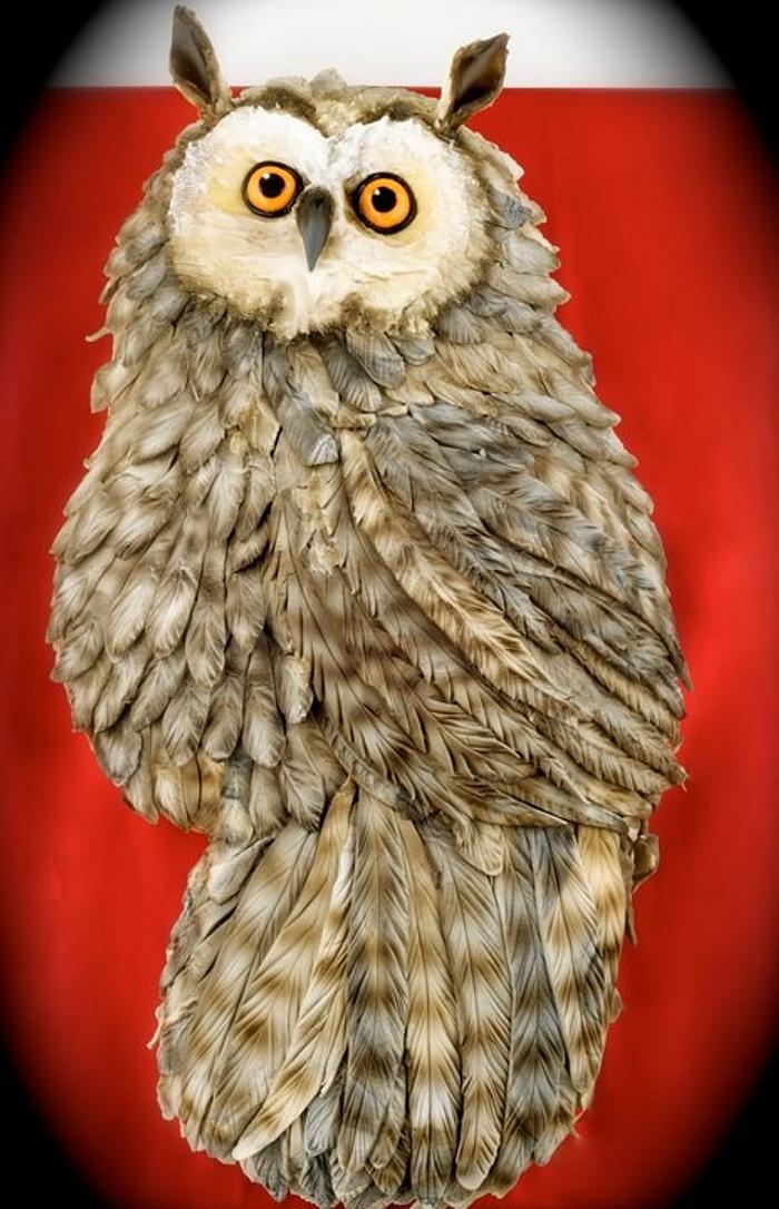 2D owl