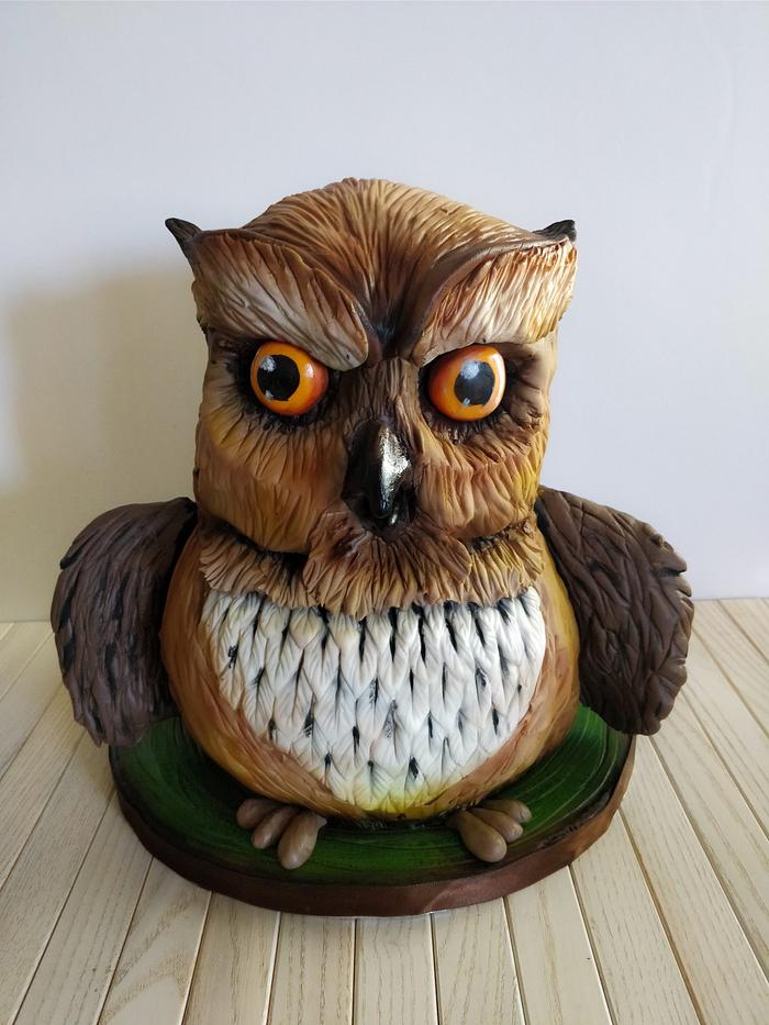 Owl for Beau