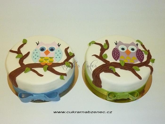 Owl Cakes For Twins