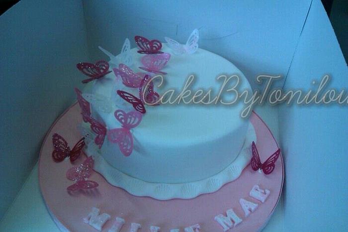 Simple butterfly cake