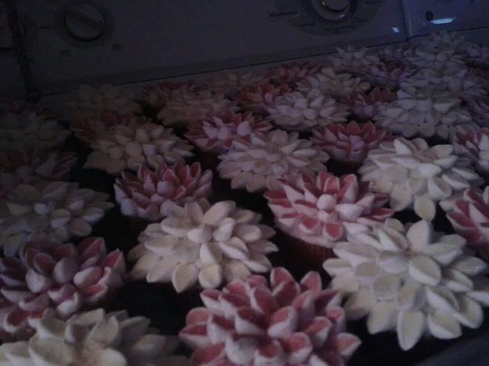 Flower Cupcakes