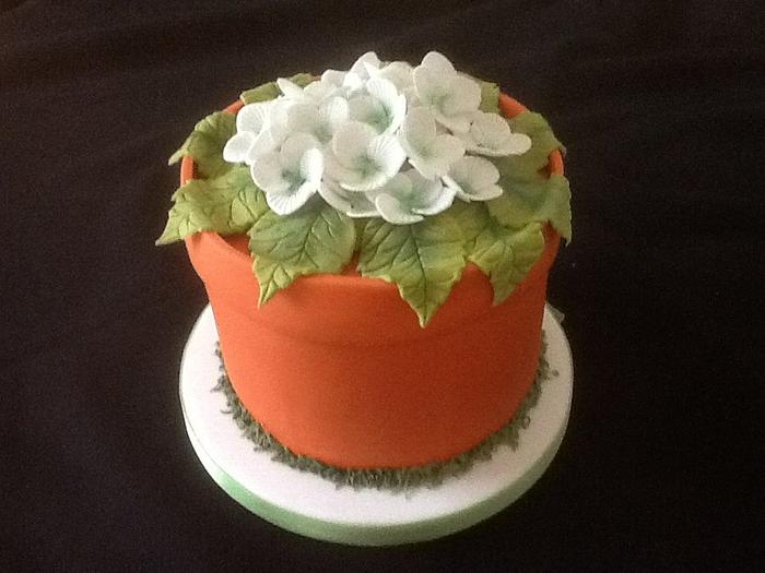 Hydrangea birthday cake