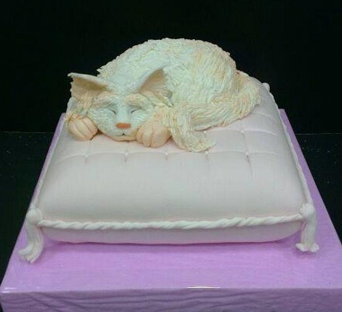 sleeping cat cake..