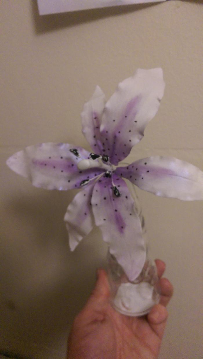 first attempt stargazer lilly
