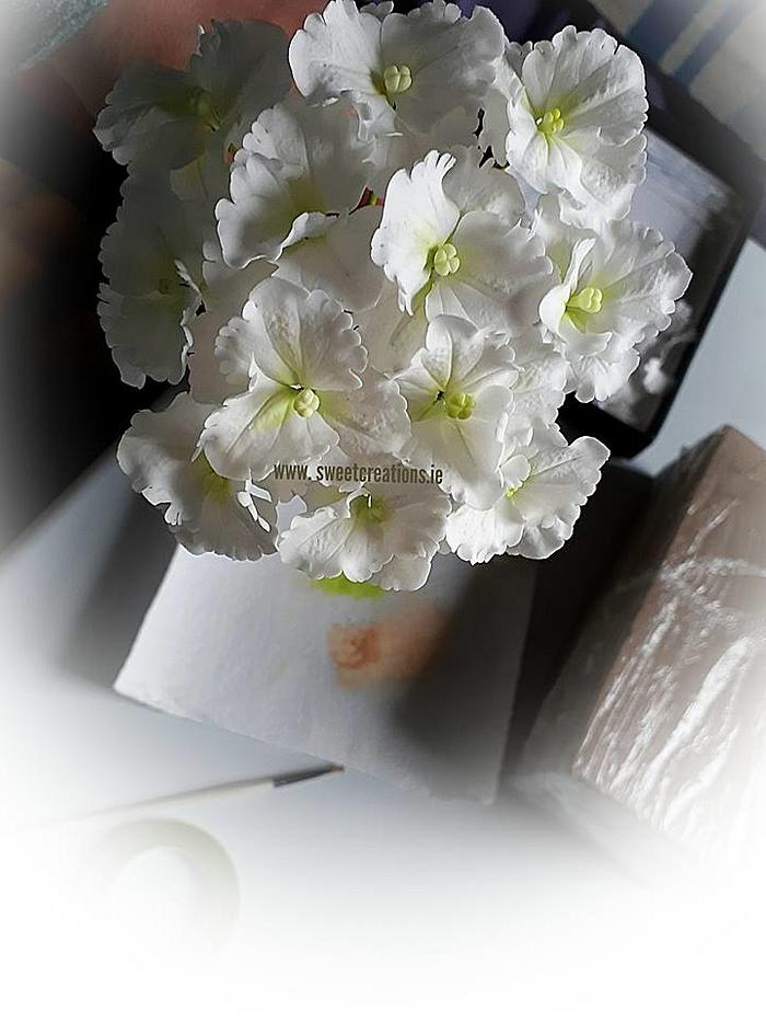 Hydrangea Sugar Flowers