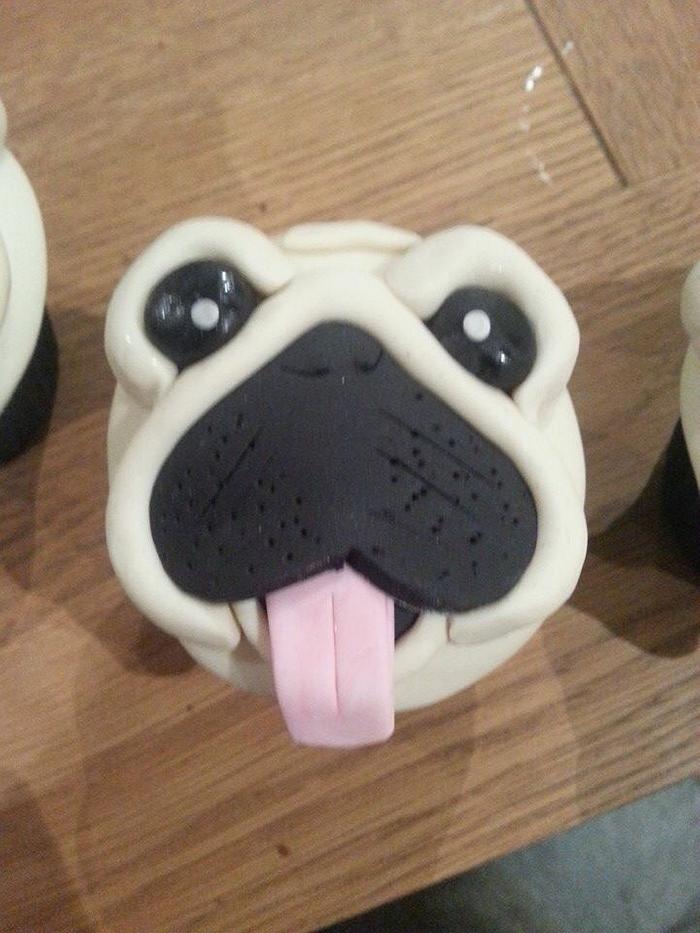 Pug cupcakes