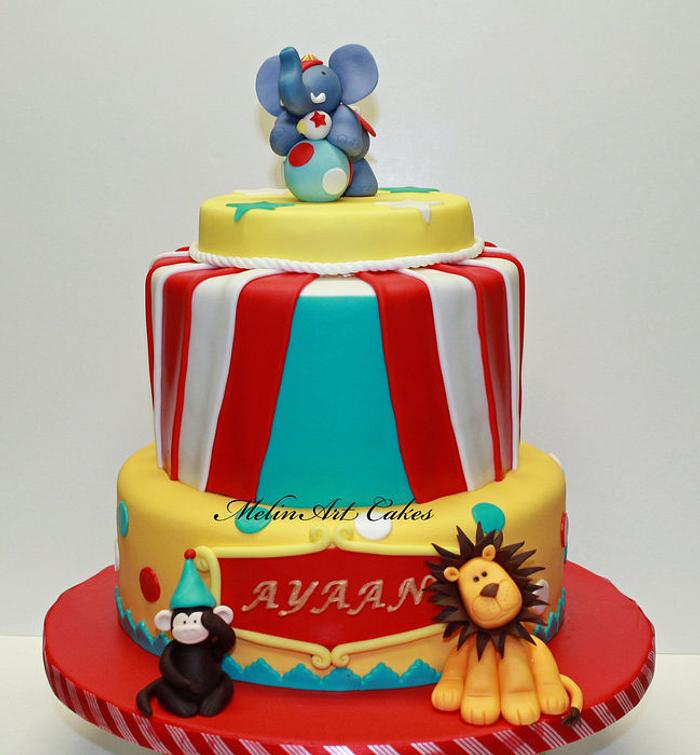 Pleated Circus birthday cake