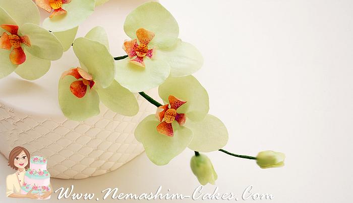 wafer paper orchids