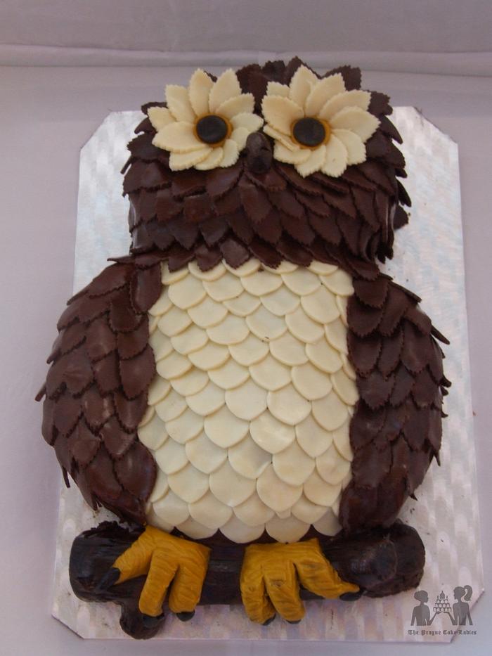 Chocolate owl cake