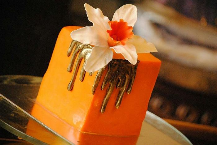 Orange ganache cake with gold drip