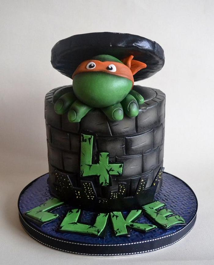 TMNT cake