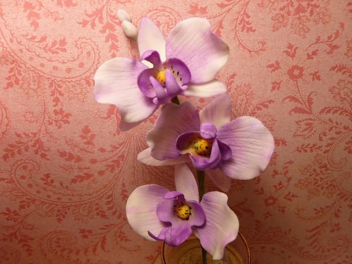 Orchid