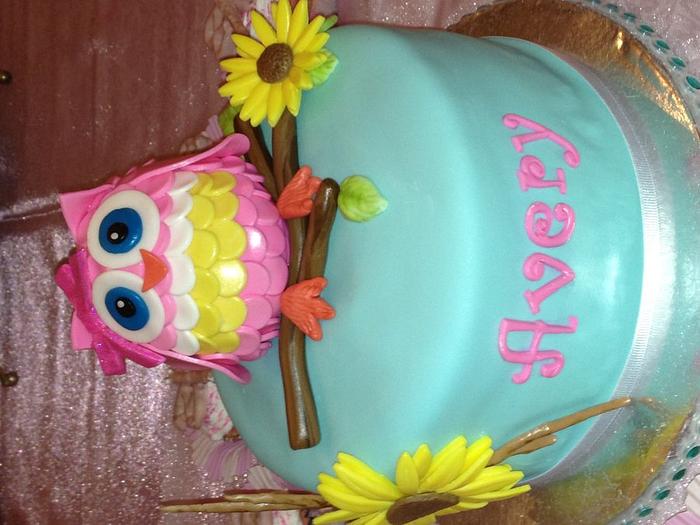 "Avery" Owl cake