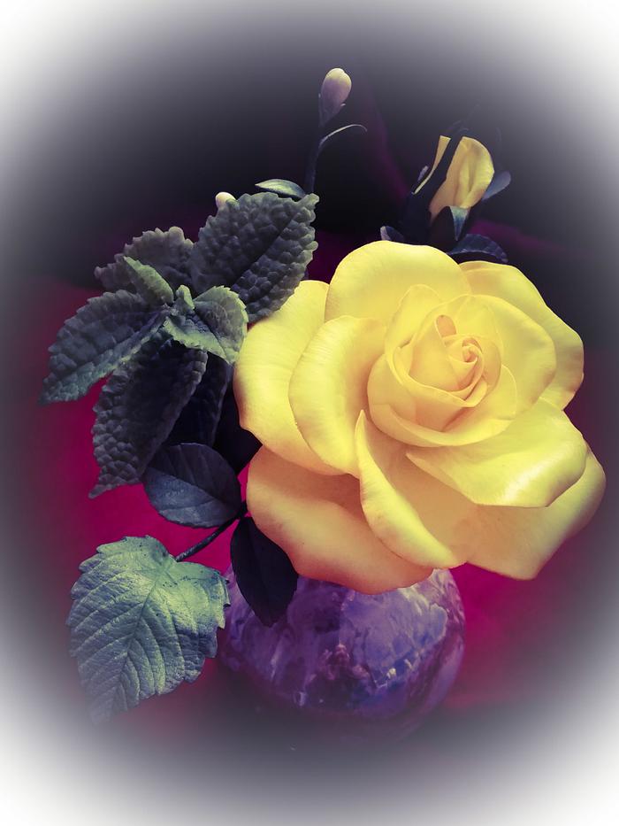 Rose. Sugar flower