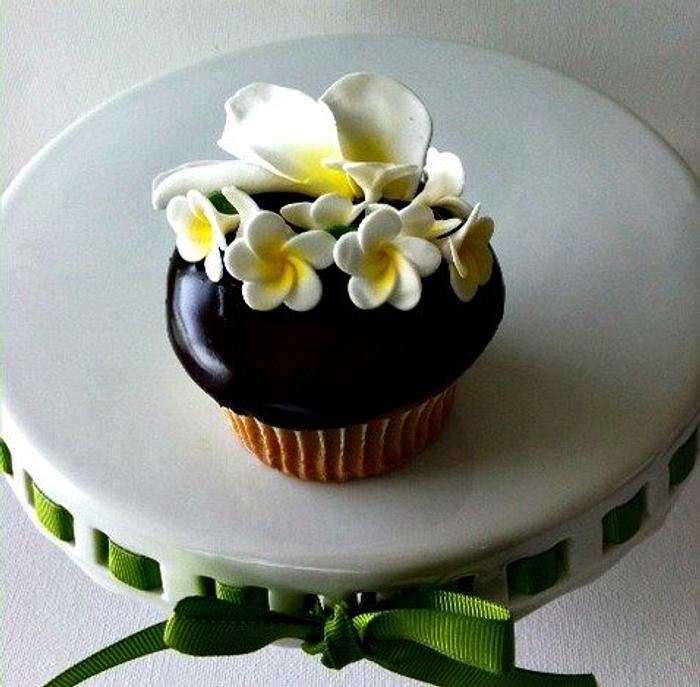 hawaiian frangipani lias cupcakes