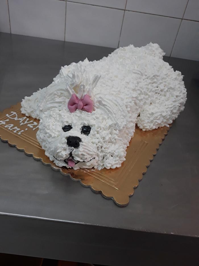 Wipped cream dog cake 