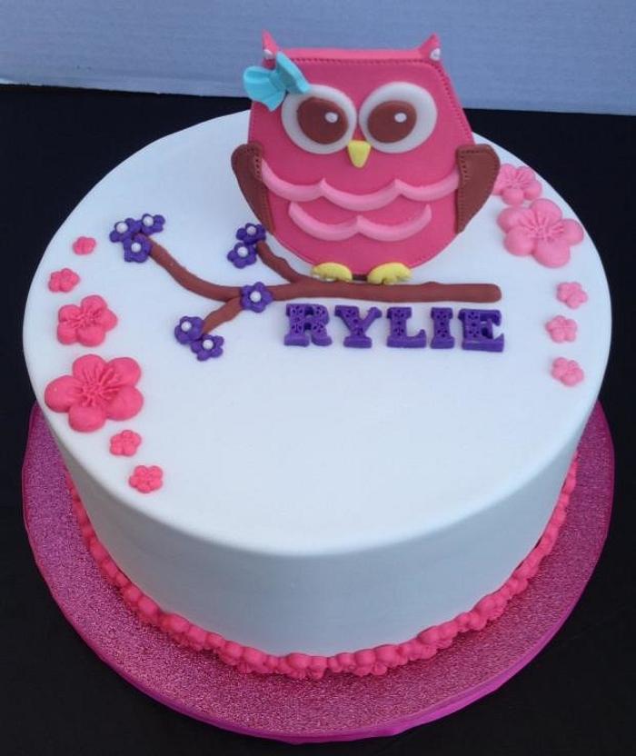 Girly Owl Birthday Cake