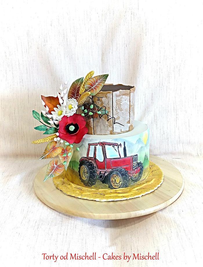 Hand painted tractor cake